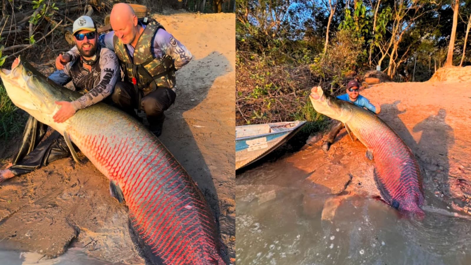 Pescadores de SC viajam 2.074 km até o Mato Grosso e capturam pirarucu de 2,45 metros: “Indescritível”