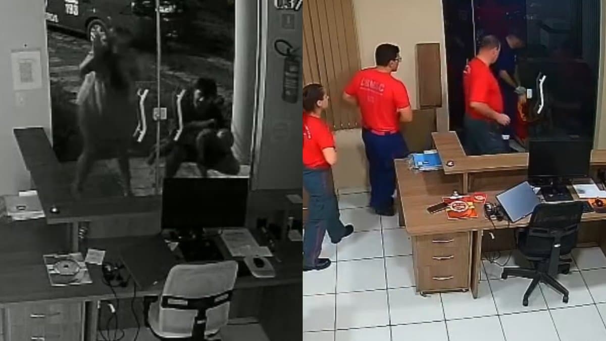 “Verdadeiros heróis”: ação rápida de bombeiros salva bebê de 2 anos vítima de engasgo em SC