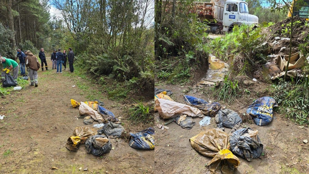 Cães mortos em avançado estado de decomposição são achados em vários sacos de lixo em SC