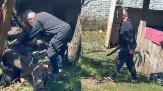 Polícia Civil intervém em Joinville, resgata cachorra Lola e “tutor” é investigado por matar filhotes a facão