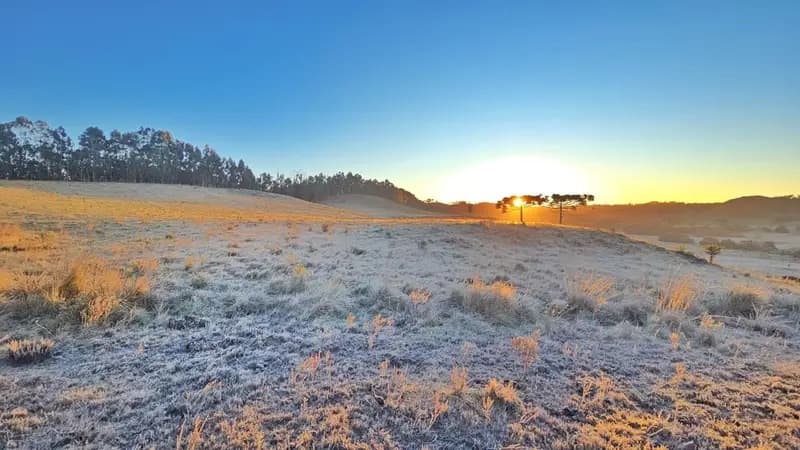 Frio intenso leva 16 municípios de SC a registrarem temperaturas negativas