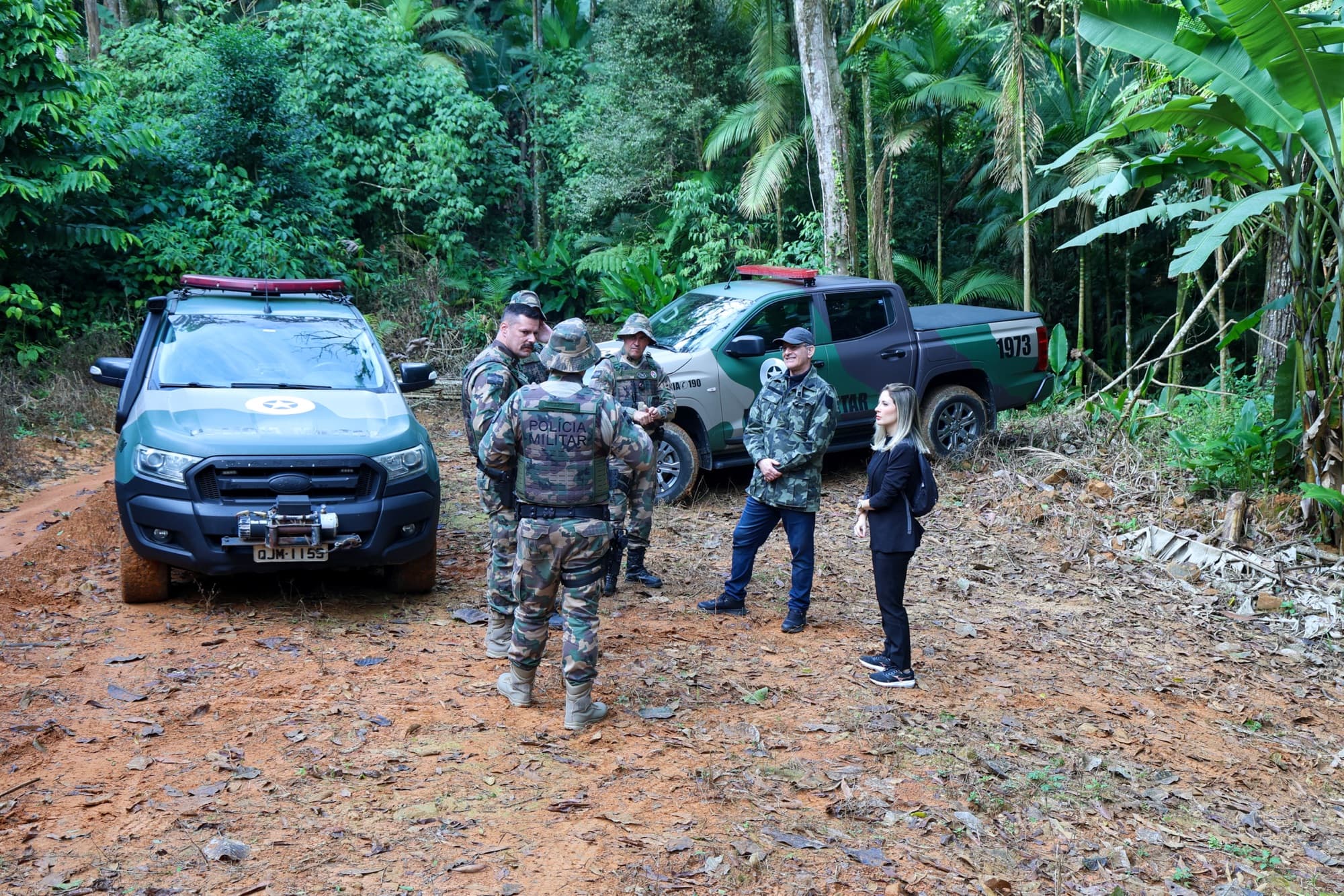 Fiscalização revela centenas de hectares de desmatamento ilegal em Santa Catarina