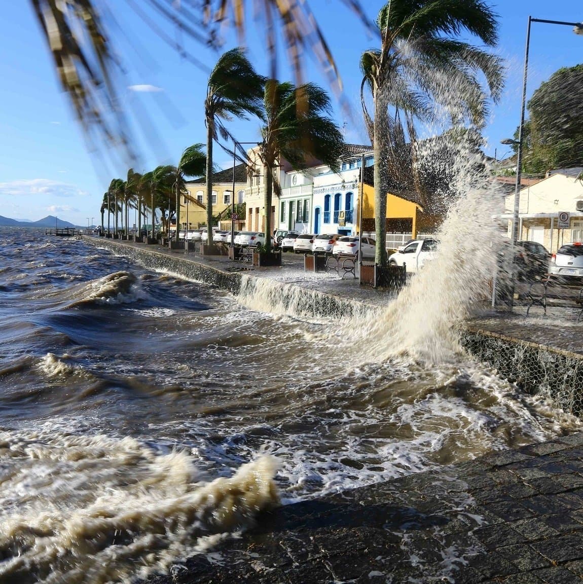 Ondas altas invadem a orla durante ressaca no litoral de Santa Catarina, com coqueiros curvados pelo vento forte