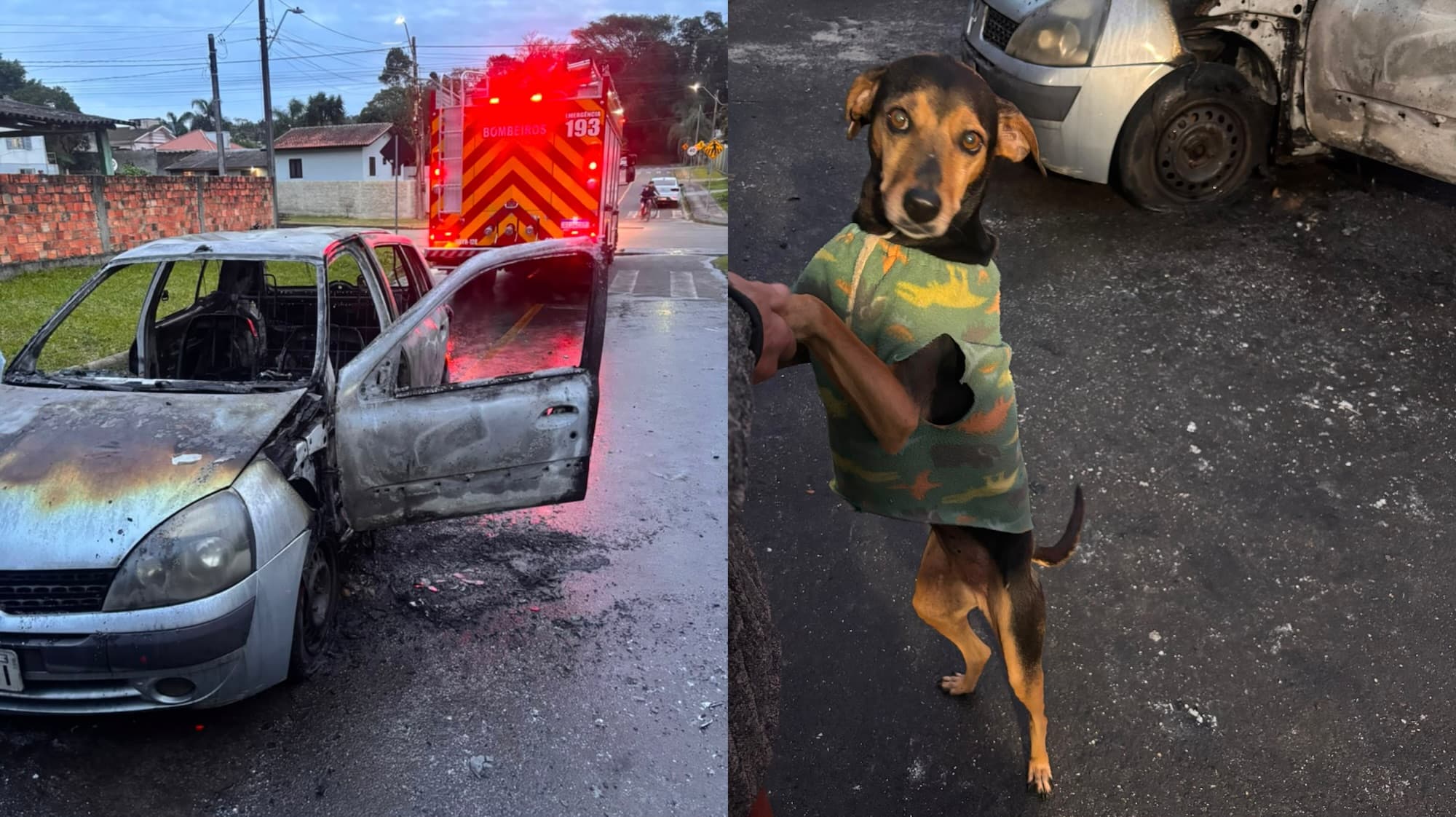 Homem teria ateado fogo em carro com cachorro dentro em Criciúma