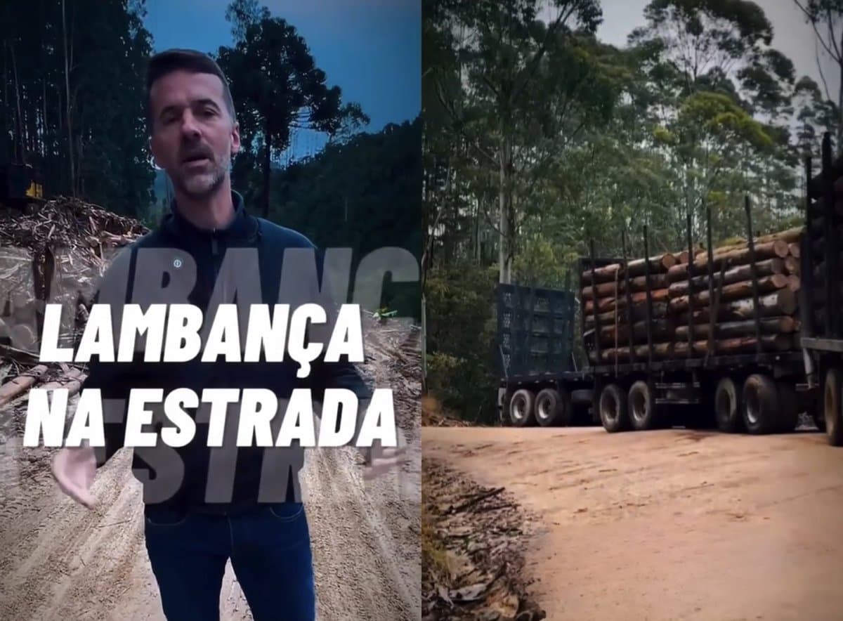 “Não tem estrada que aguente”: prefeito quer proibir caminhões de madeira em dias de chuva, em Angelina
