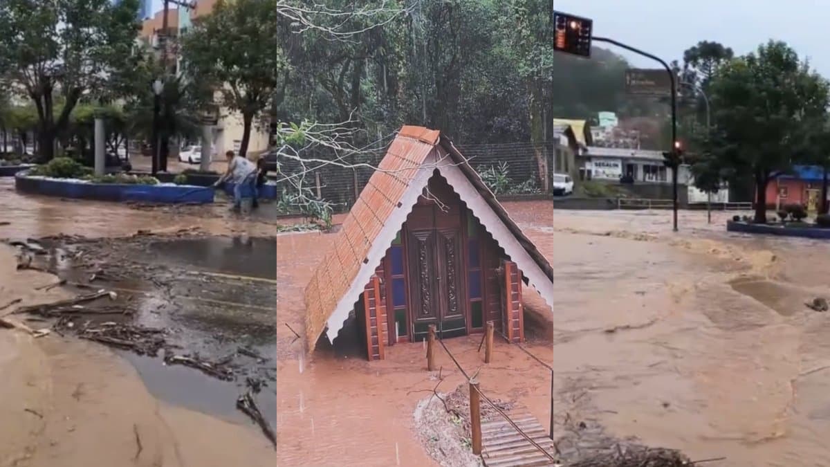 “Temor se confirma”: chuva faz rio transbordar e água avança sobre ruas em cidade de SC