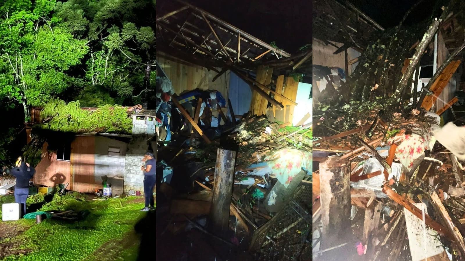Livramento: casa de madeira é “esmagada” por araucária e família de SC escapa da morte
