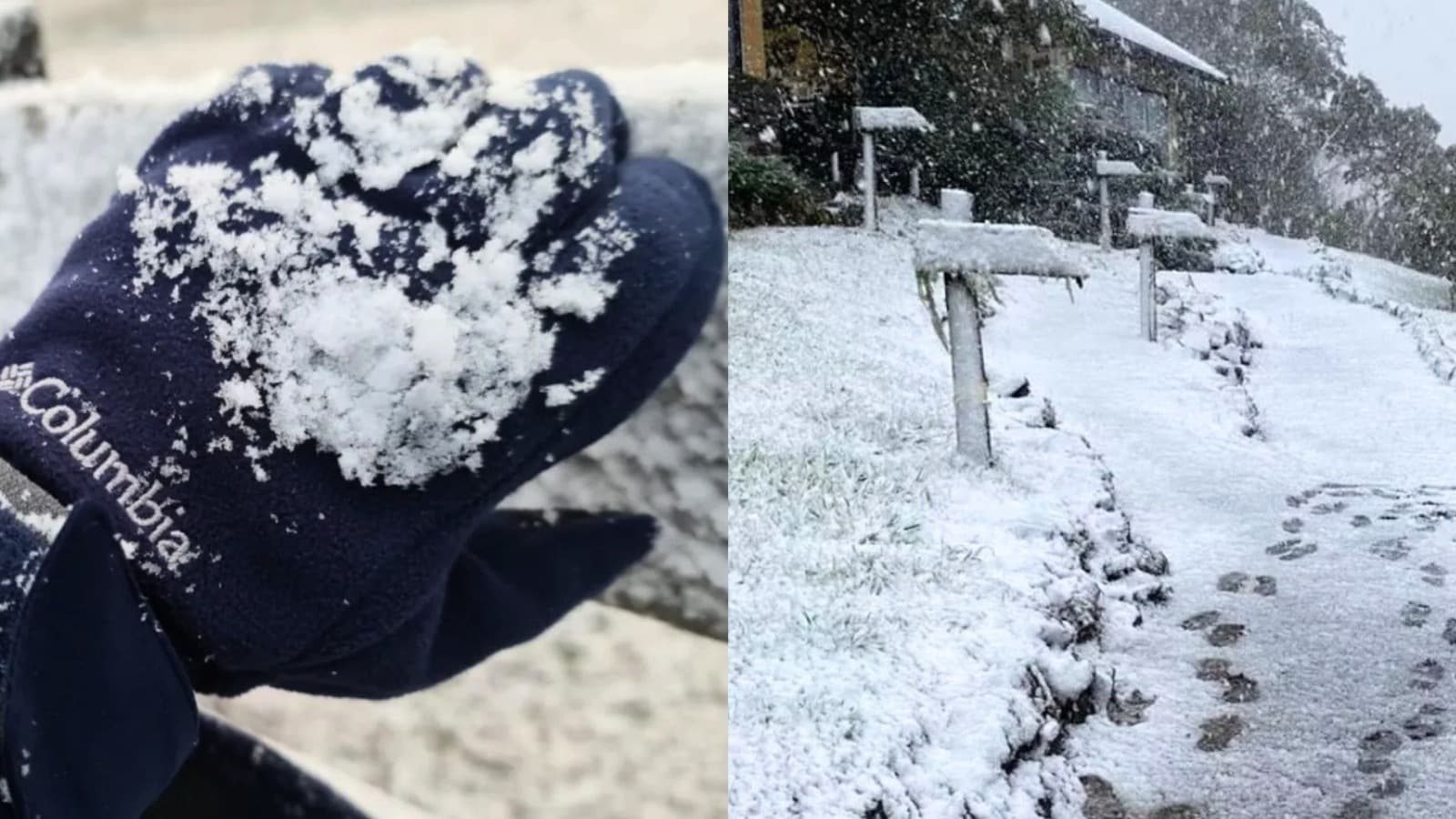 “De trincar os grãos”: SC congela no feriadão e termômetros podem chegar a -8ºC