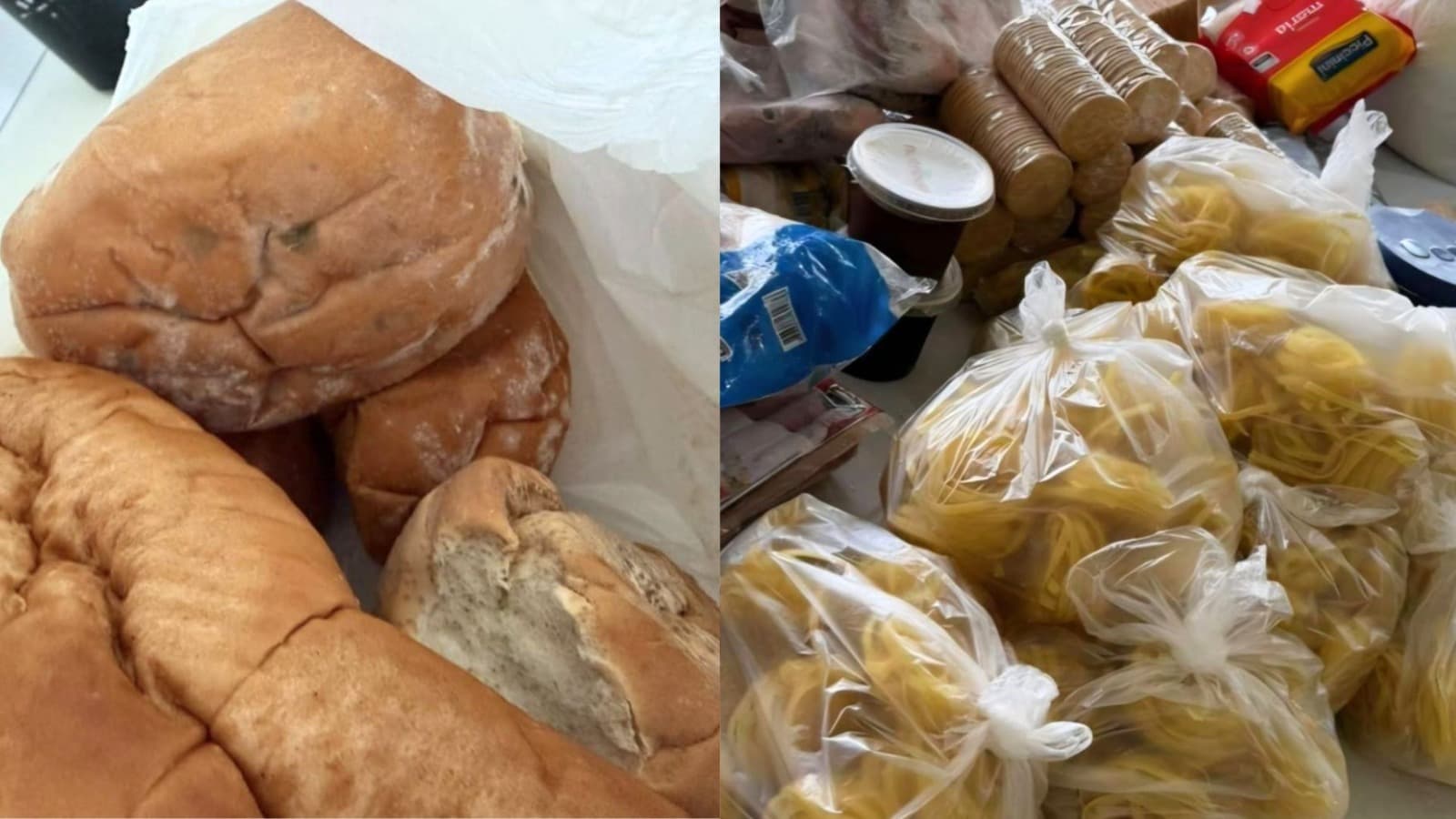 Comida vencida, pão mofado e conduta inadequada de educadora: fiscalização flagra caos em abrigo de SC