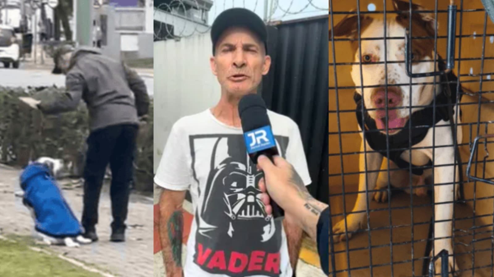 Flagrado agredindo o próprio cachorro em BC, tutor deixa a cadeia e leva o animal para casa: “amo ele, cara”