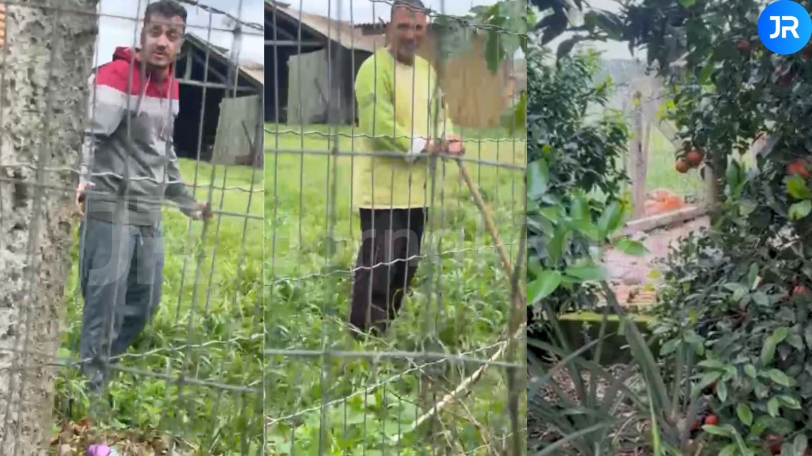 VÍDEO: Homem é preso após ser flagrado matando cão a pauladas e golpes de enxada em SC