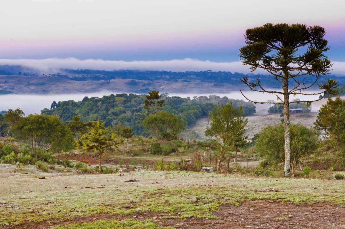 Serra catarinense pode chegar a 0 °C na quarta e temporais voltam na sexta em SC
