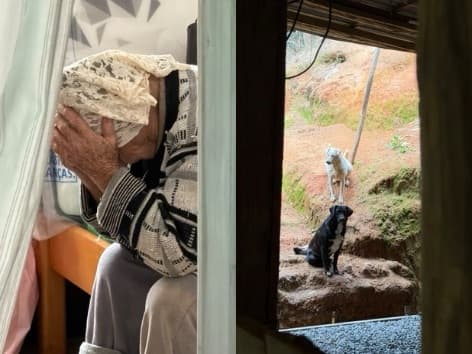 Aos 86 anos, Dona Índia cuida de 32 cães e agora precisa de ajuda para não deixar os animais desamparados