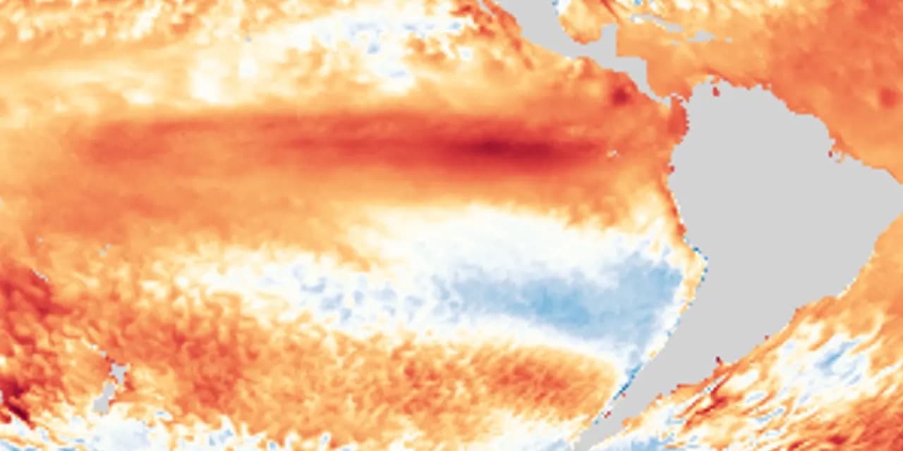 El Niño entra na fase mais intensa e acende alerta para ondas de calor no Brasil