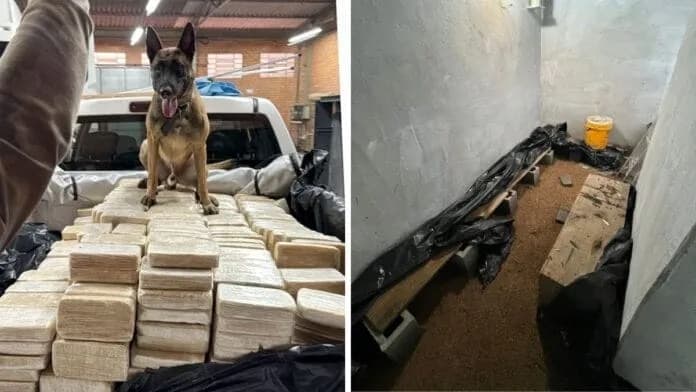 Britânico procurado pela Interpol é preso após descoberta de 613 kg de cocaína em bunker em SC