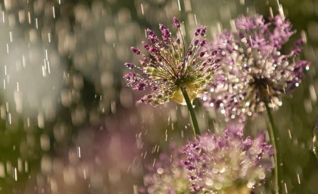 Primavera em SC pode ter temporais e chuva até 200 milímetros acima da médi