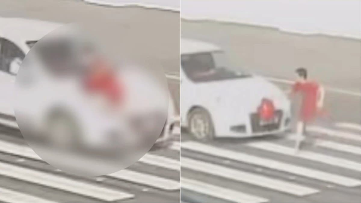 Menino de roupa vermelha atravessa faixa de pedestres na Rodovia Antônio Heil, em Brusque