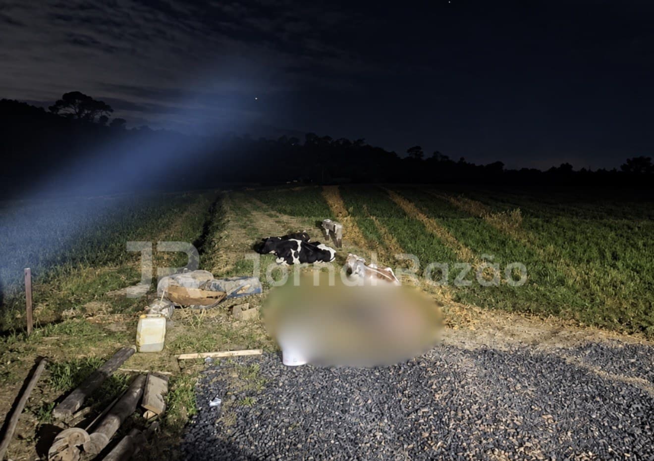 Pai é encontrado morto pelas filhas em cerca elétrica de propriedade rural em Joinville