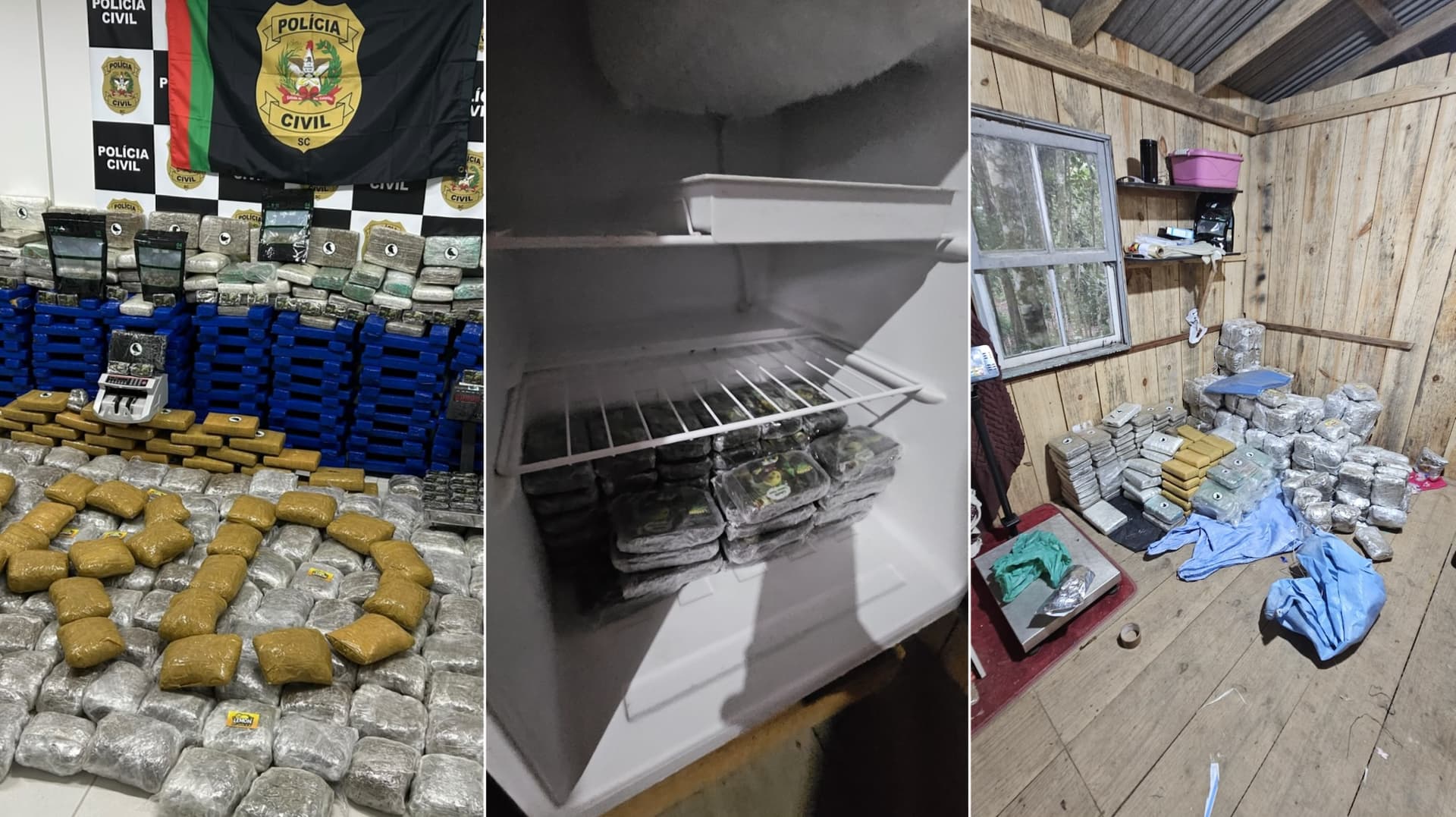 Polícia apreende 635 quilos de drogas em casa de madeira em Biguaçu