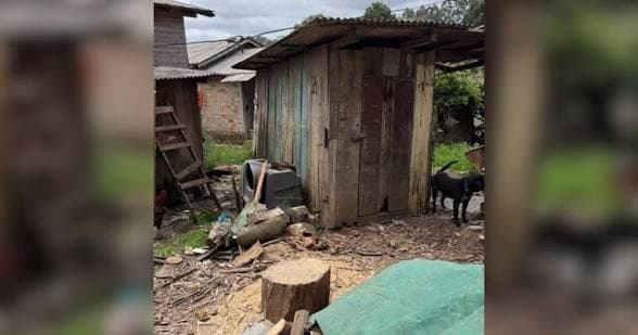 Cães presos por correntes e porcos em espaço fechado são encontrados em Lages