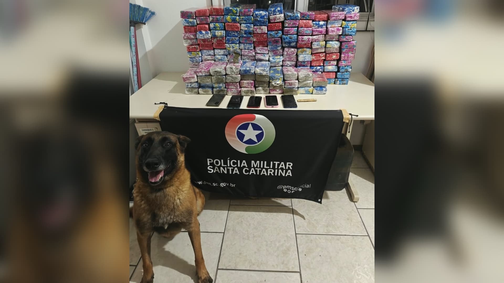 Polícia apreende mais de 104 quilos de maconha em dois carros abordados em SC