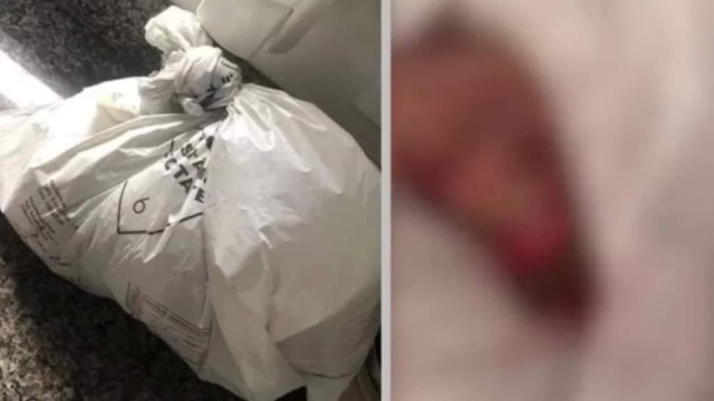Sacola com pé humano é entregue em velório de vítima de acidente