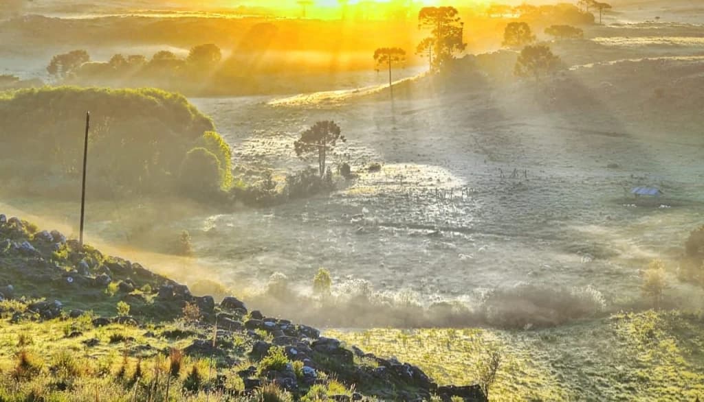 Serra catarinense amanhece congelada há poucos dias do verão