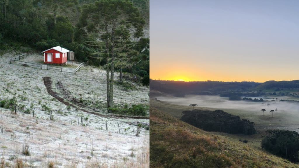 Geada matinal pinta paisagens de branco em Santa Catarina