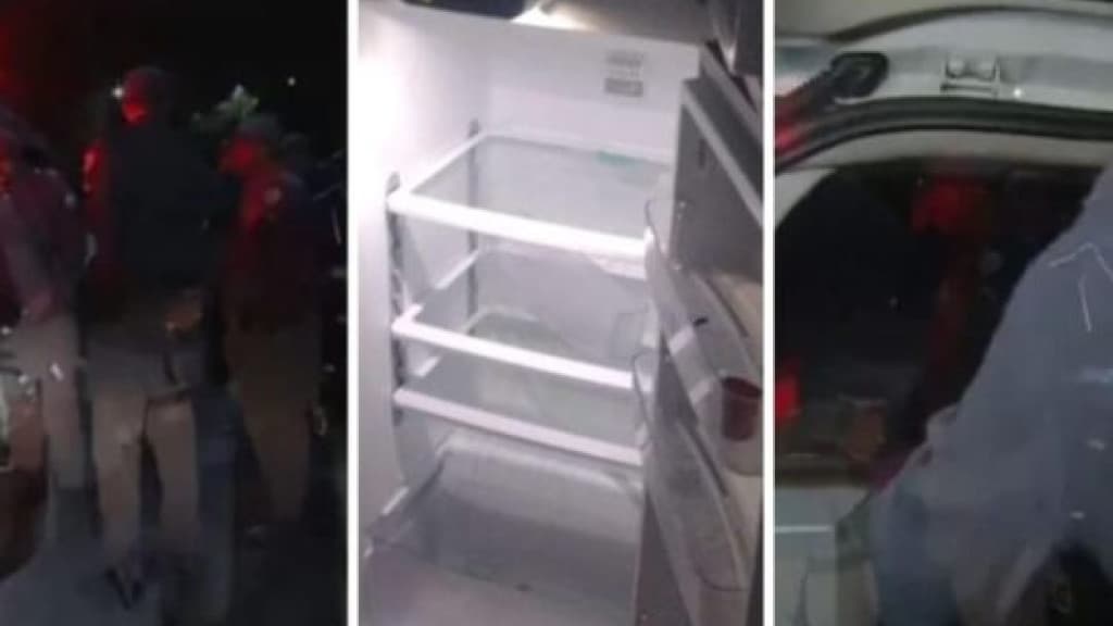 Mãe mata, esquarteja e esconde corpo da filha de nove anos em geladeira