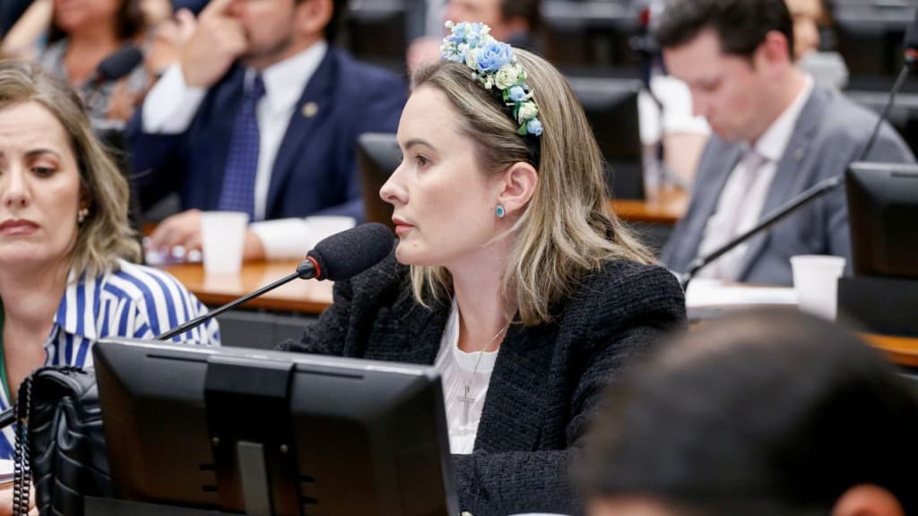 Deputada de SC ajudará a decidir emendas para enfrentamento a catástrofes