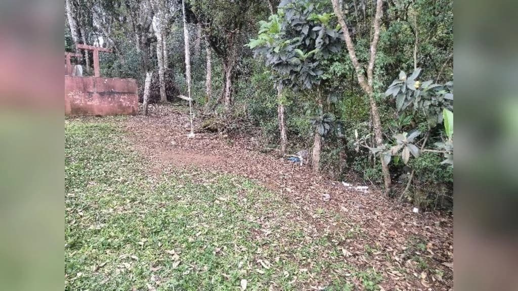 Feto humano é encontrado por crianças em matagal