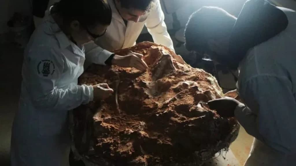 Fóssil de dinossauro é encontrado após enchente no RS