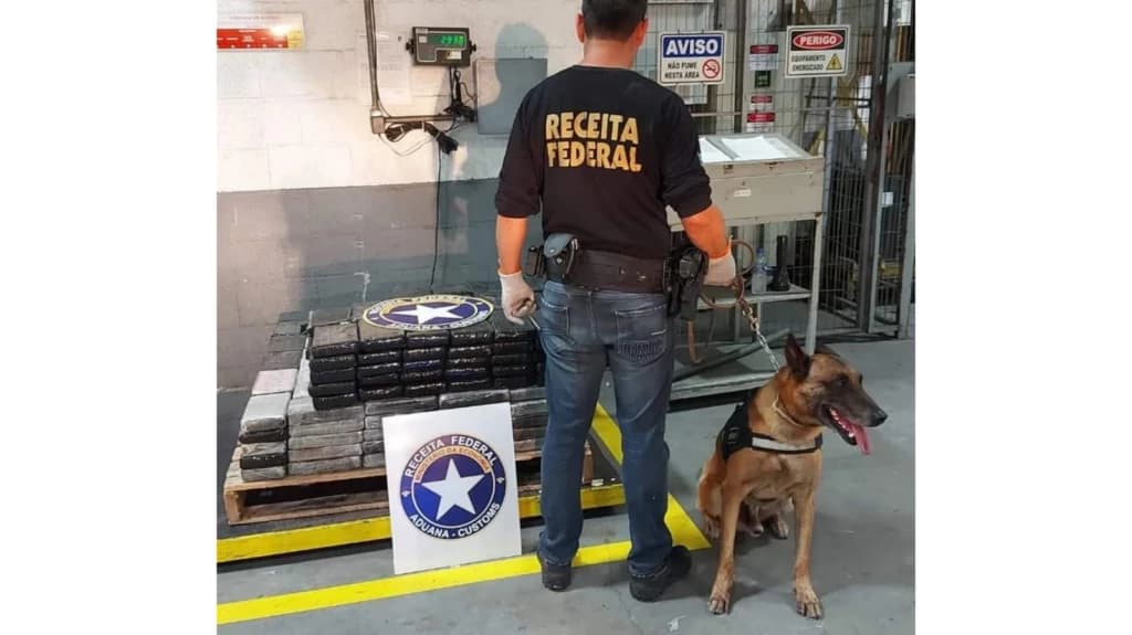 Cão localiza 293 kg de cocaína em carregamento de madeira no porto de Itajaí