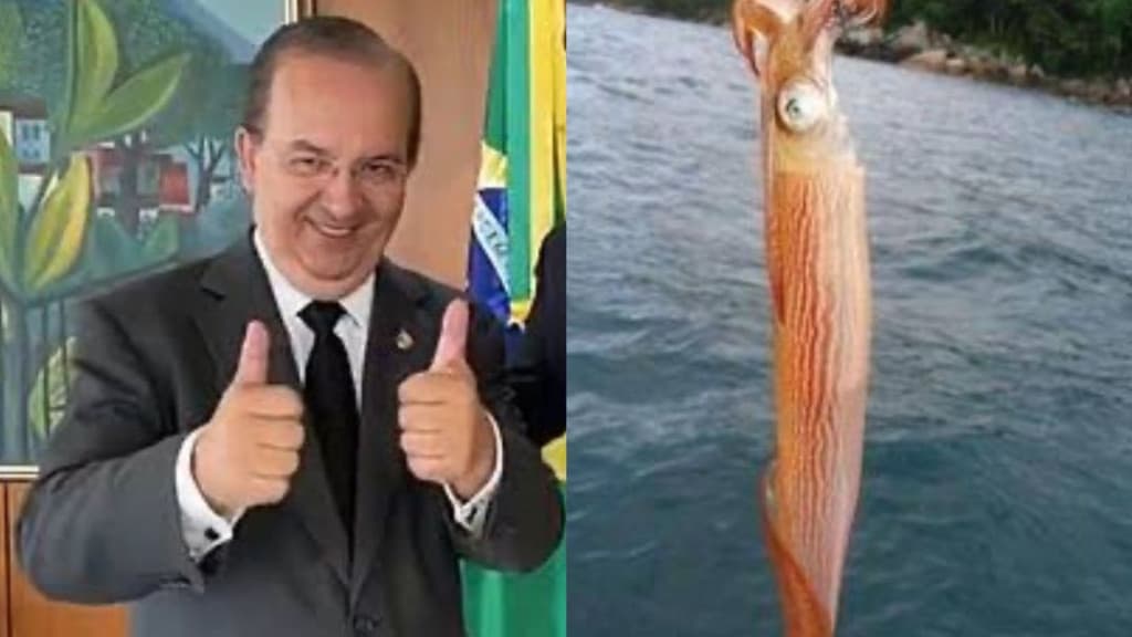 Jorginho libera abate de lula em SC através de portaria emergencial