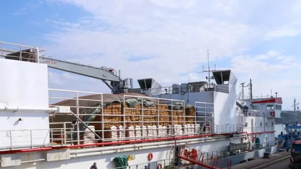 Porto de Santa Catarina exporta 3,5 mil bois vivos para a Turquia