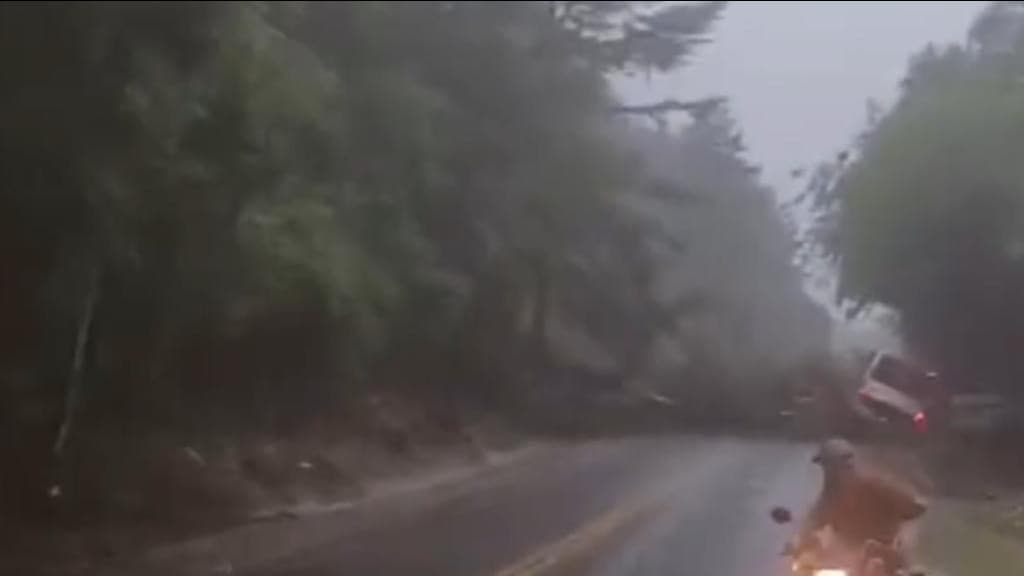URGENTE: Deslizamento de terra atinge ônibus e caminhão na BR-282
