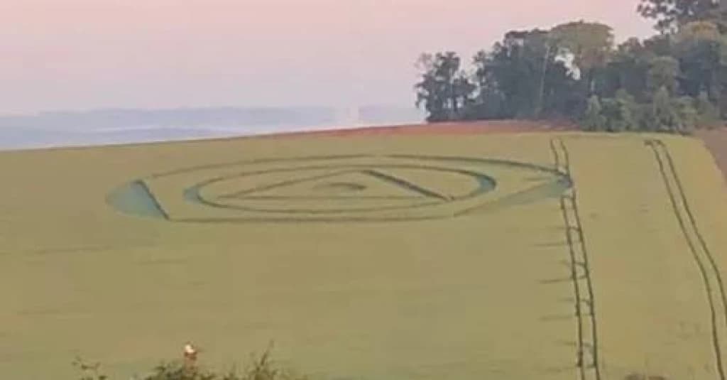 Marcas misteriosas aparecem em plantação de trigo em SC