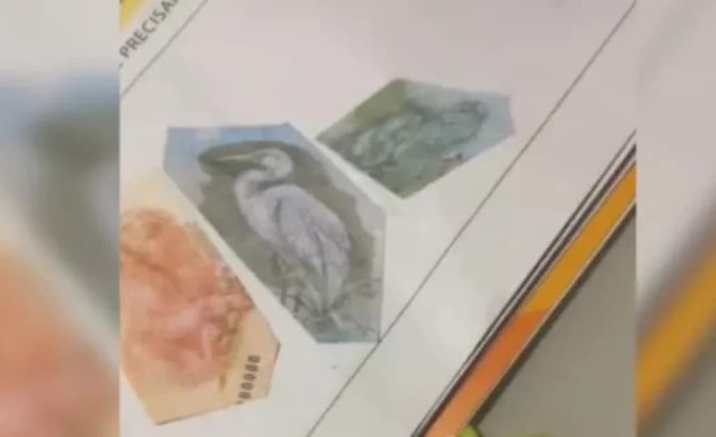 Criança recorta dinheiro para trabalho de escola e vídeo viraliza