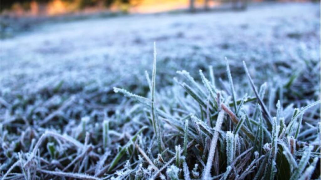Terça-feira com temperatura negativa em 53 municípios de Santa Catarina