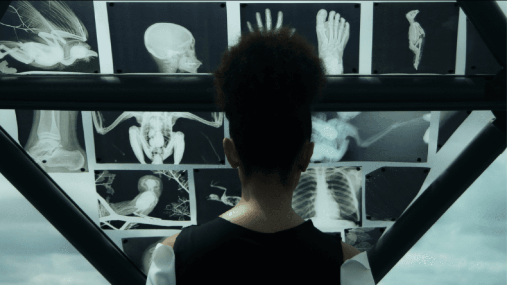 Festival de cinema “Floripa Que Horror” tem início nesta segunda (28) com programação gratuita