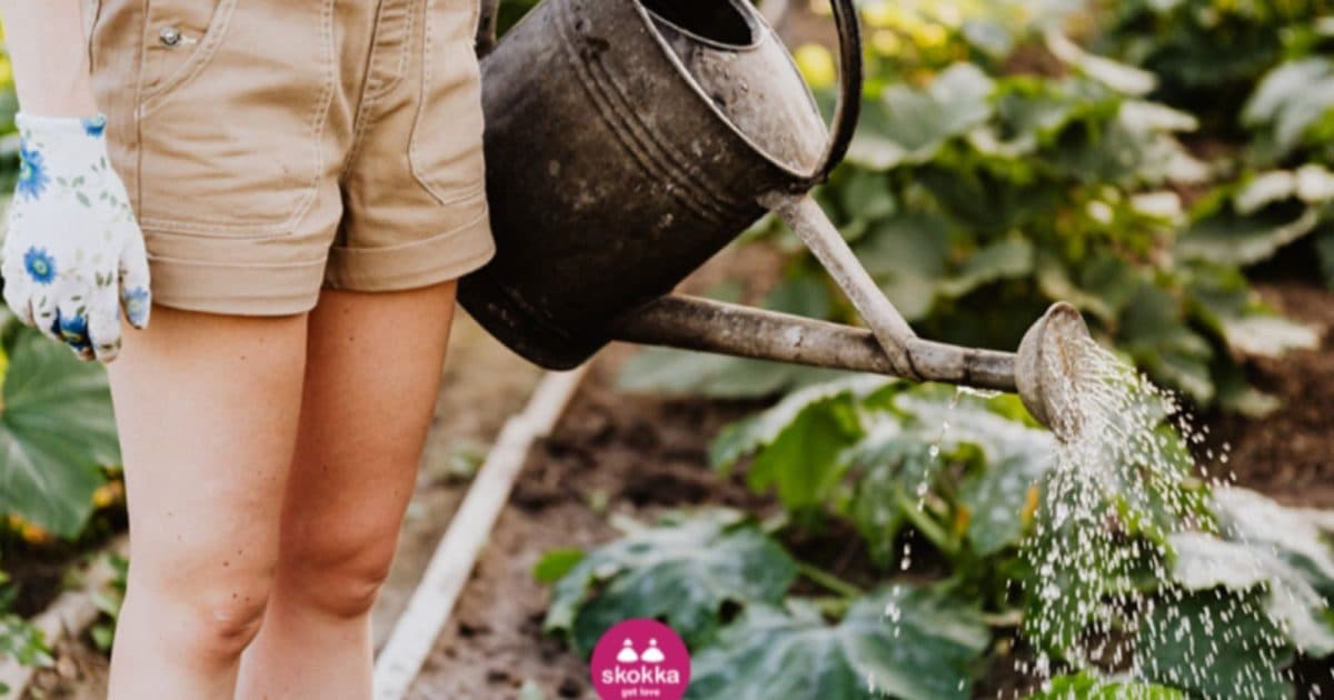 Como a jardinagem pode fortalecer o relacionamento amoroso