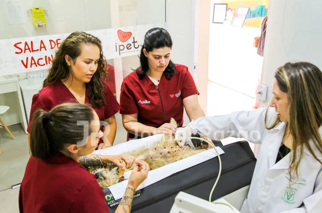 Cuidado completo para seu pet: Conheça o IPet 24h em Tijucas