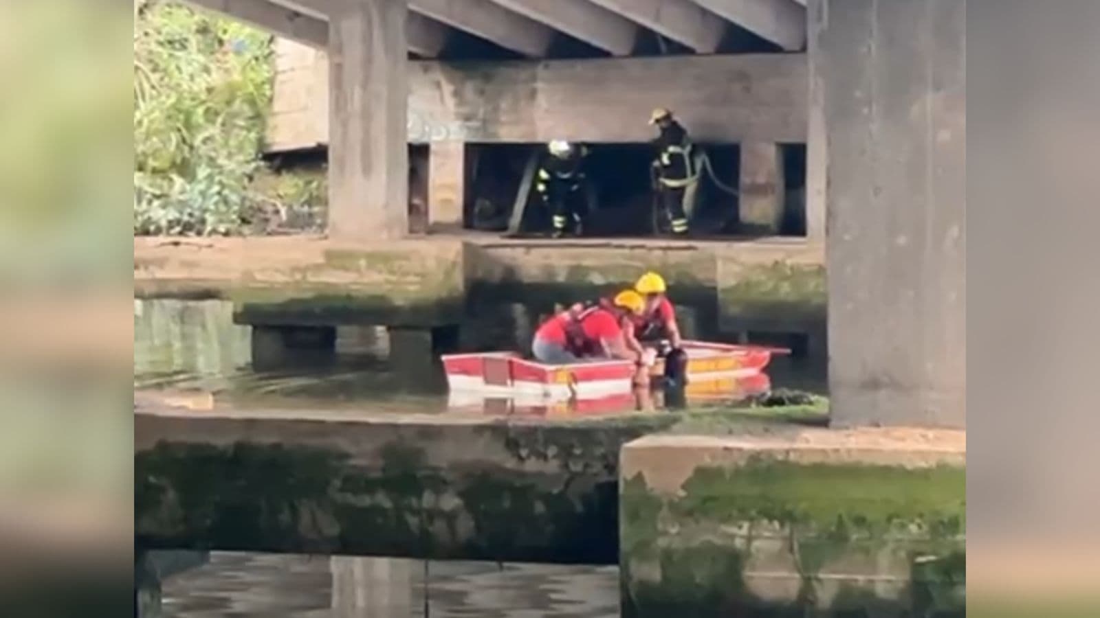 Bombeiros Voluntários impedem suicídio após mulher pular de ponte dentro de rio em SC