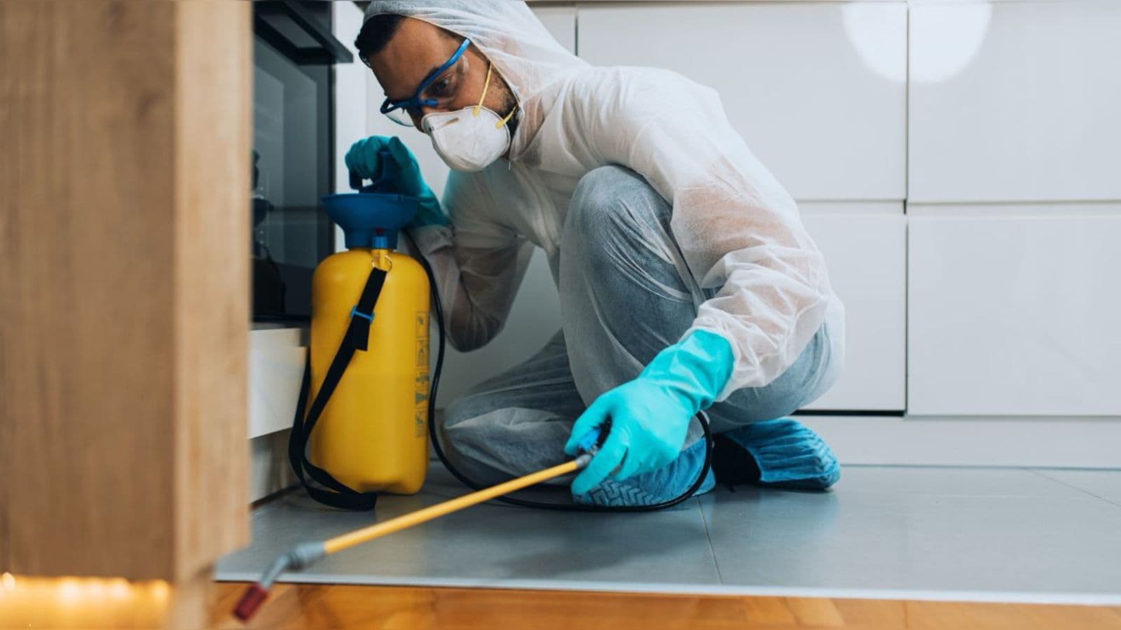 Hospitais brasileiros reforçam protocolos e investem em dedetização para garantir ambientes mais seguros aos pacientes