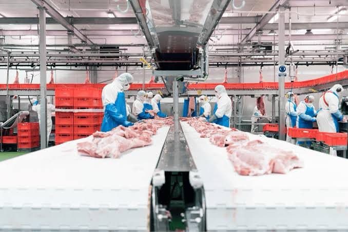 Gigante europeia anuncia investimento de R$ 800 milhões em SC; saiba onde