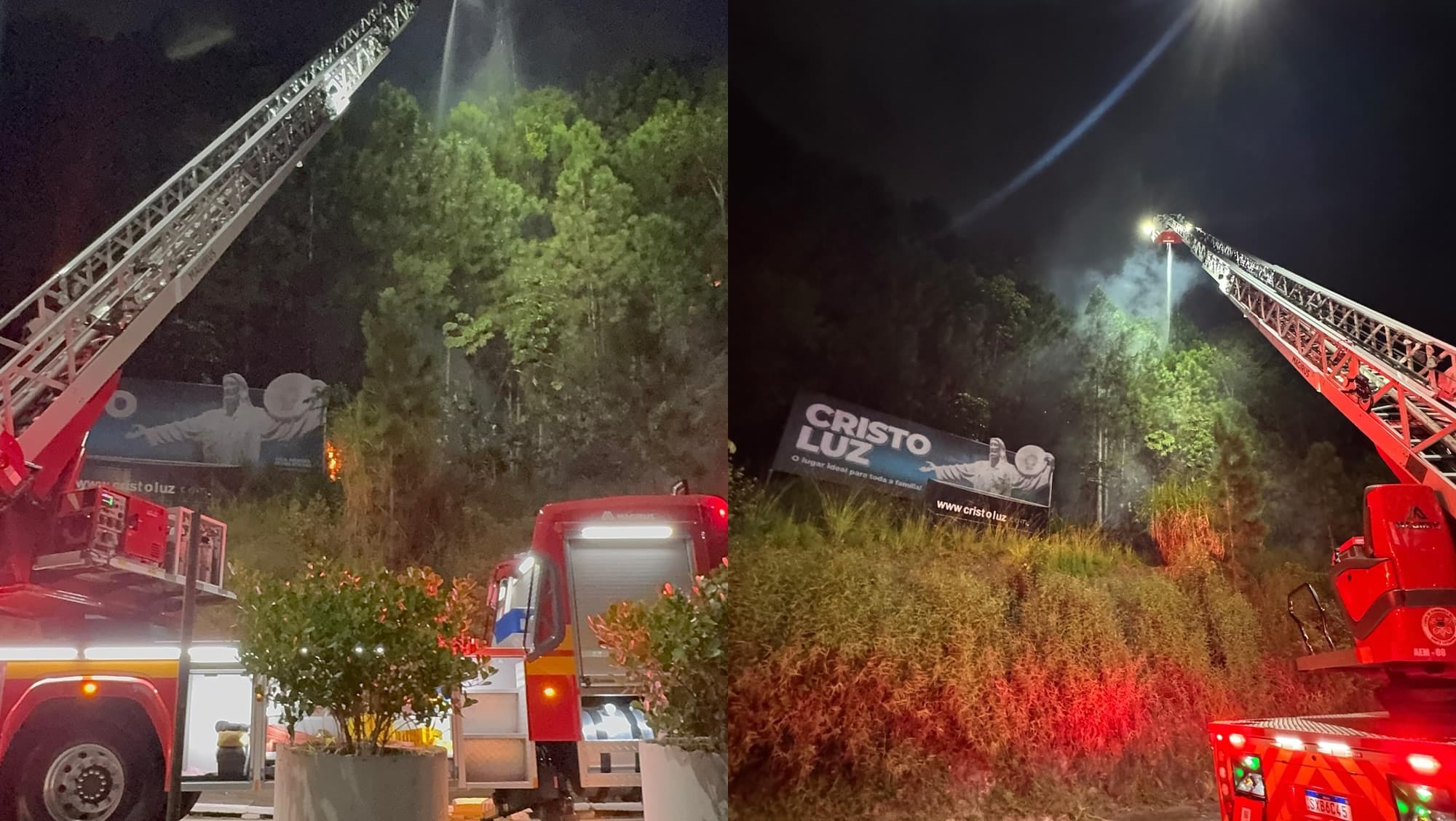Incêndio atinge encosta com plantação de pinus em Balneário Camboriú