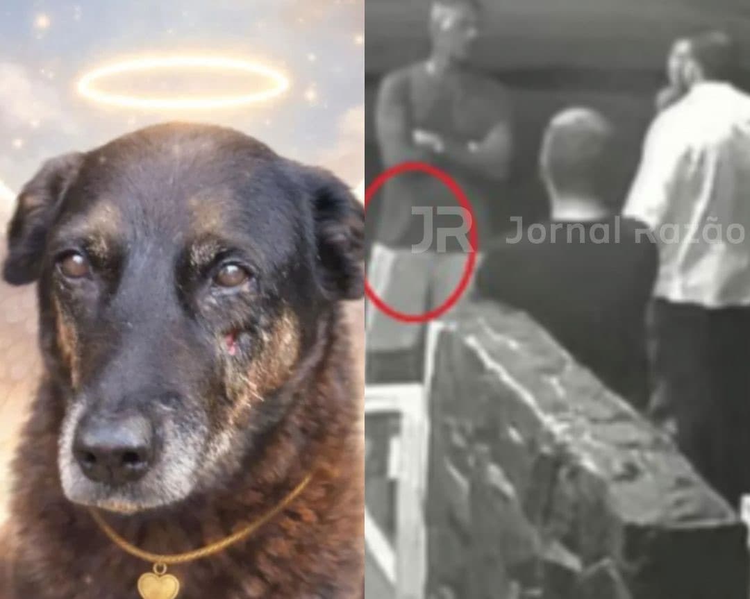 Pai e tio de suspeitos pela morte do cão Orelha ameaçaram porteiro: “não sabe com quem tá falando”