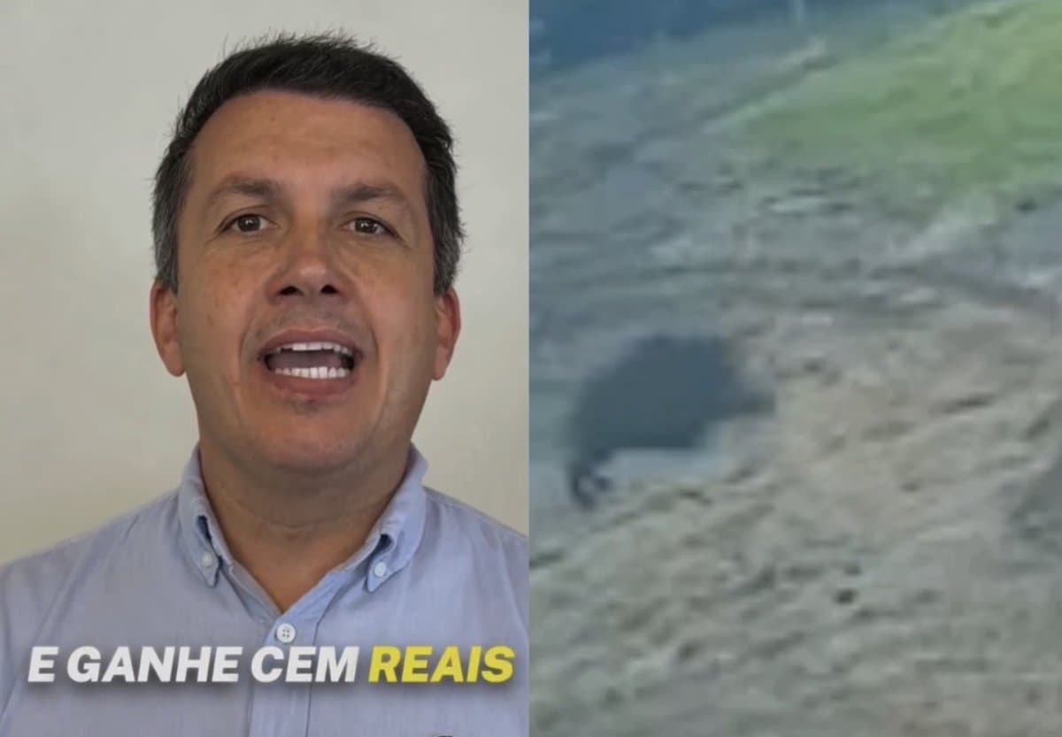 “Abata um javali e ganhe R$ 100”: deputado Camilo Martins quer prêmio para caçadores em SC
