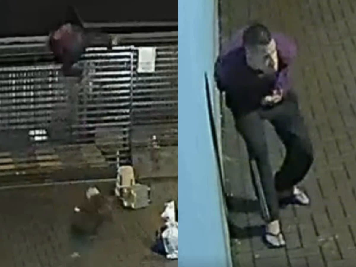 Ladrão vira “maratonista olímpico” após invadir casa e ser surpreendido por pit bull em SC
