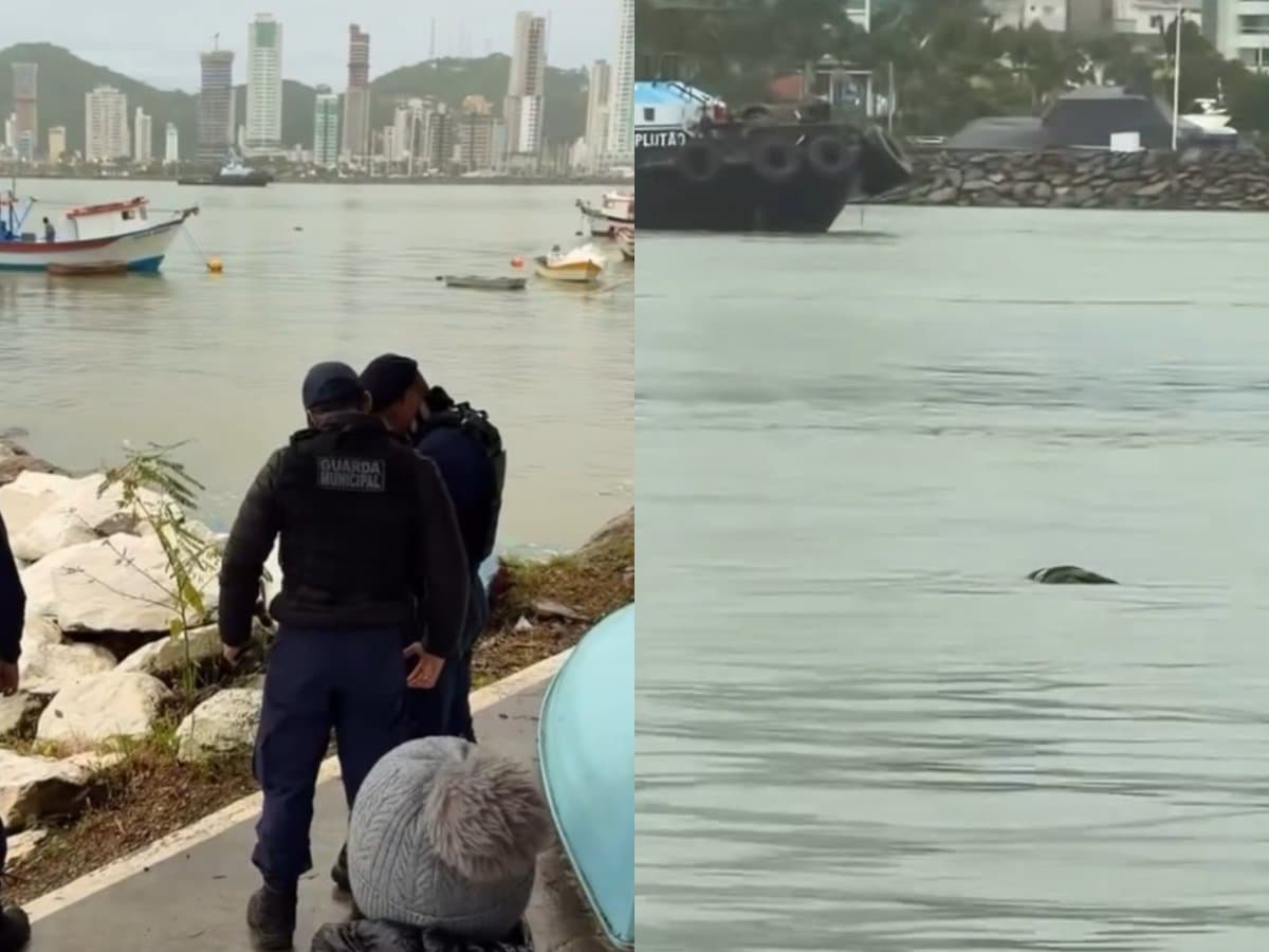 Moradora de Navegantes é encontrada morta no Rio Itajaí-Açu com marcas de tiro na cabeça